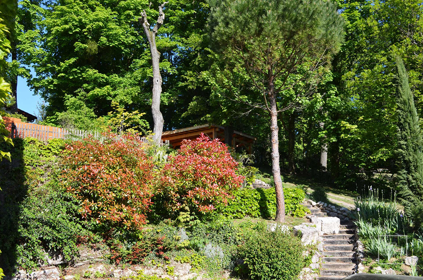 SAINT DIDIER AU MONT D’OR, Proche centre, Maison de 221 m² sur 1881 m² de terrain avec piscine