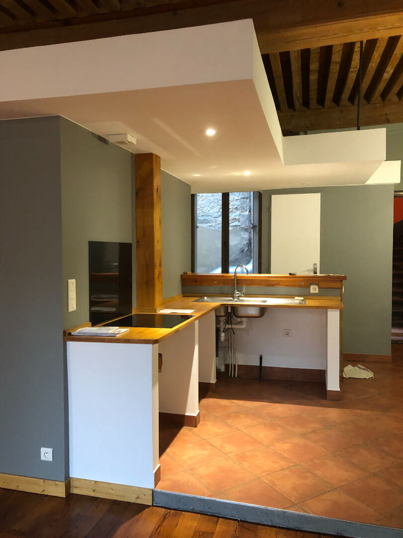 Loft Proximité Faculté Quai Claude Bernard