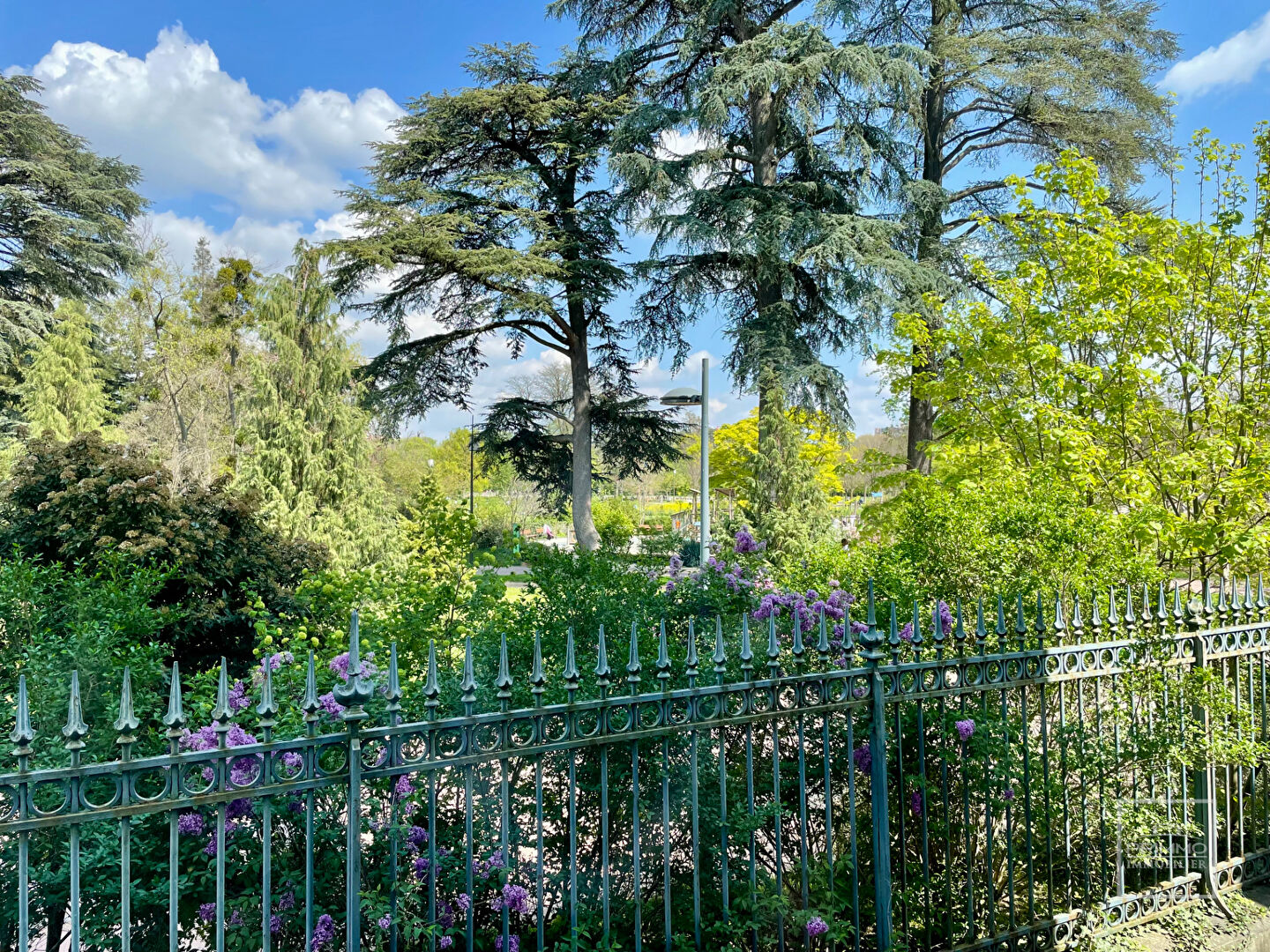 LYON 6, BOULEVARD DES BELGES, FRONT DE PARC