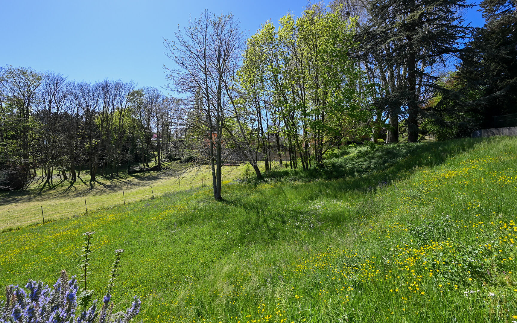 Maison SAINT CYR AU MONT D’OR 6 Pièces 183.73 m²