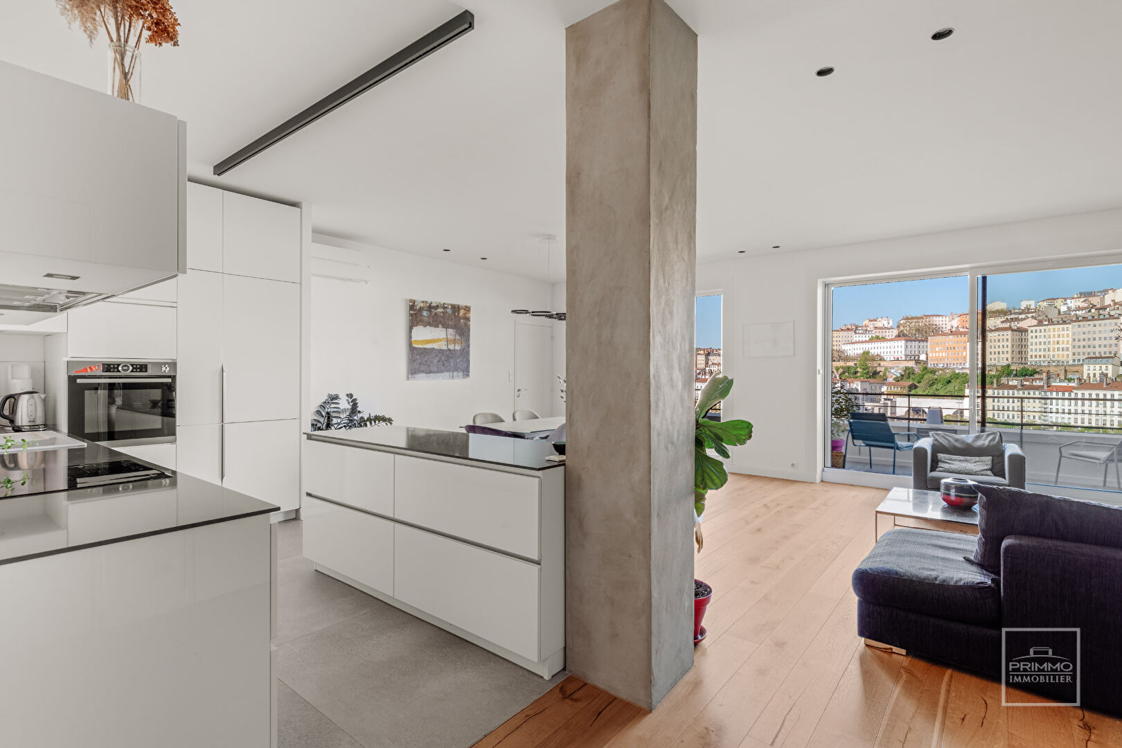 LYON 6, VUE PANORAMIQUE, BALCON, 116m²