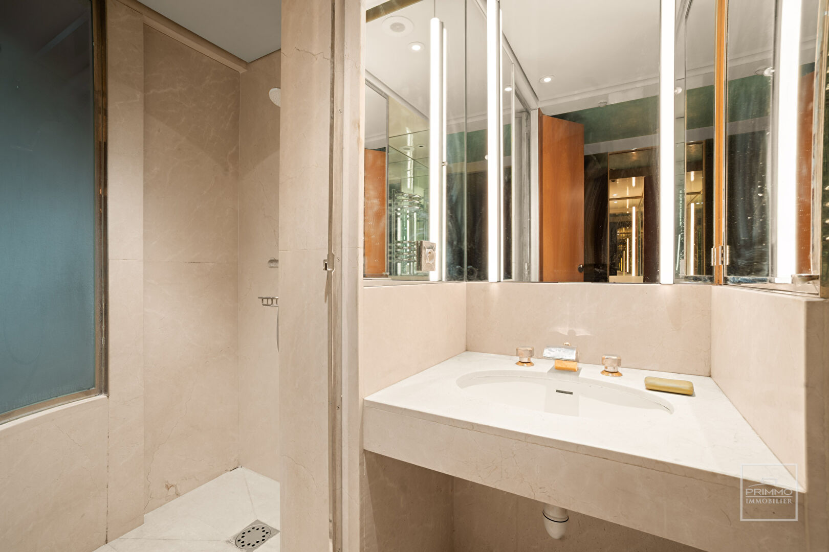 LYON 6, 170.08m², BALCON + TERRASSE