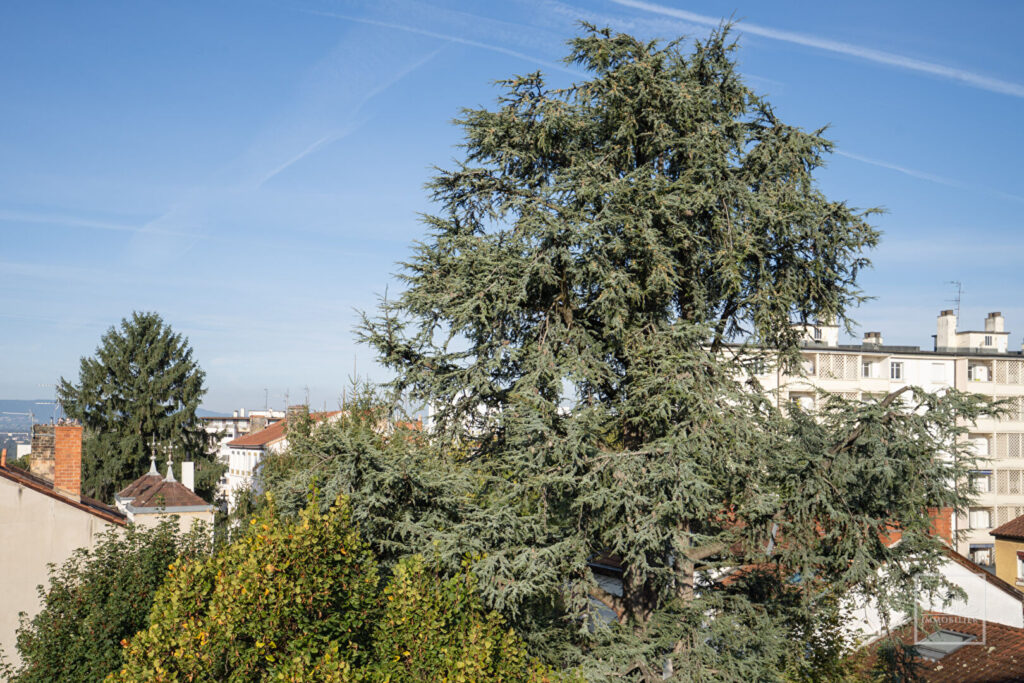 LYON 4, DERNIER ETAGE, 96.5m², TERRASSE DE 18.26m²