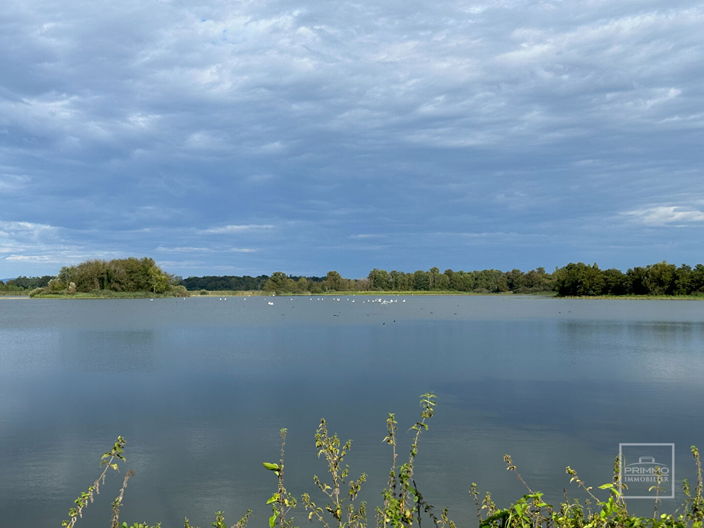 Lapeyrouse, Domaine de 118hectares, avec étang et terrain de chasse