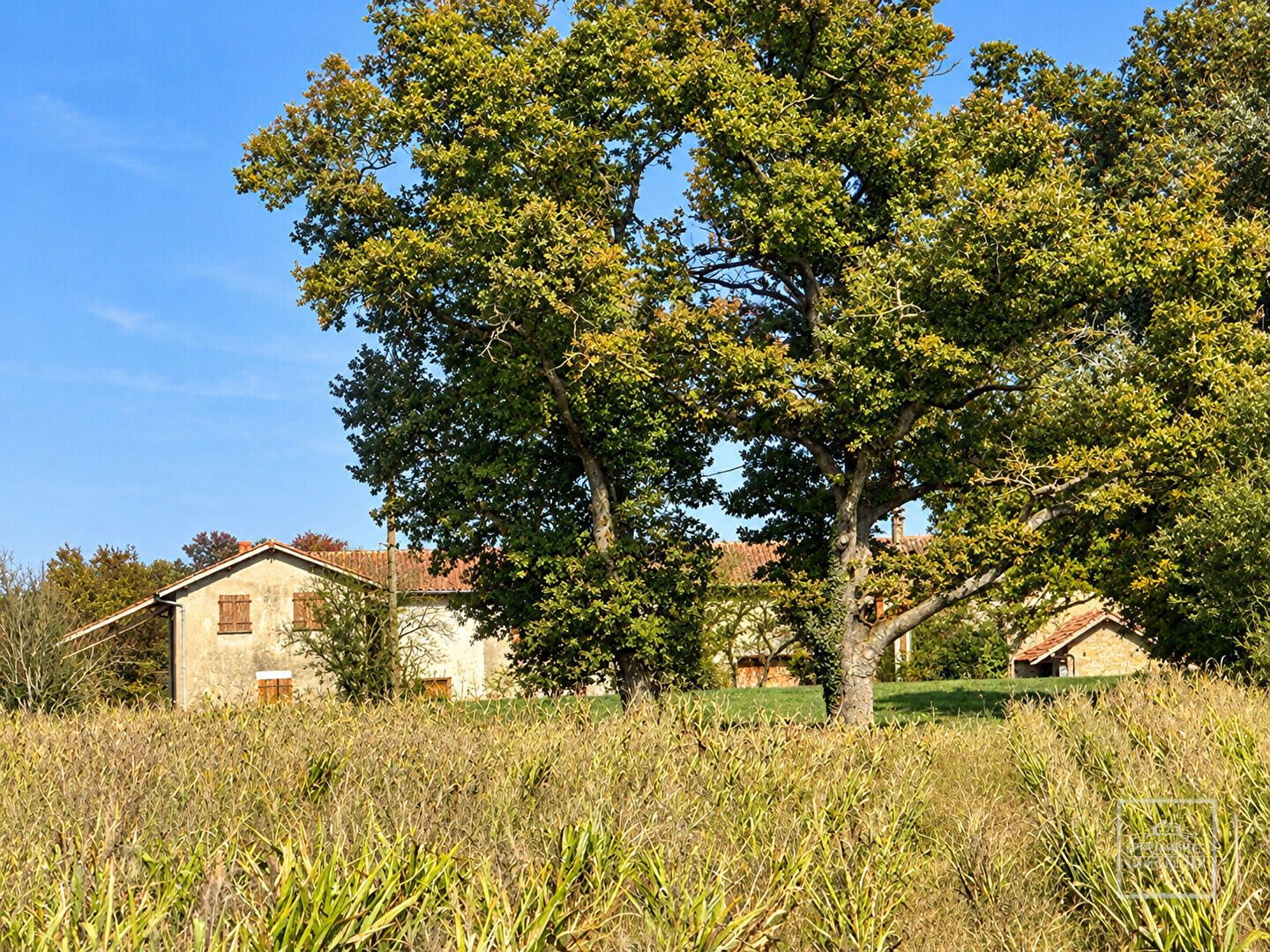 Lapeyrouse, Domaine de 118hectares, avec étang et terrain de chasse