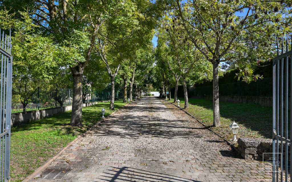 – CHASSELAY – Maison 7 Pièces d’environ 273 m² avec terrain