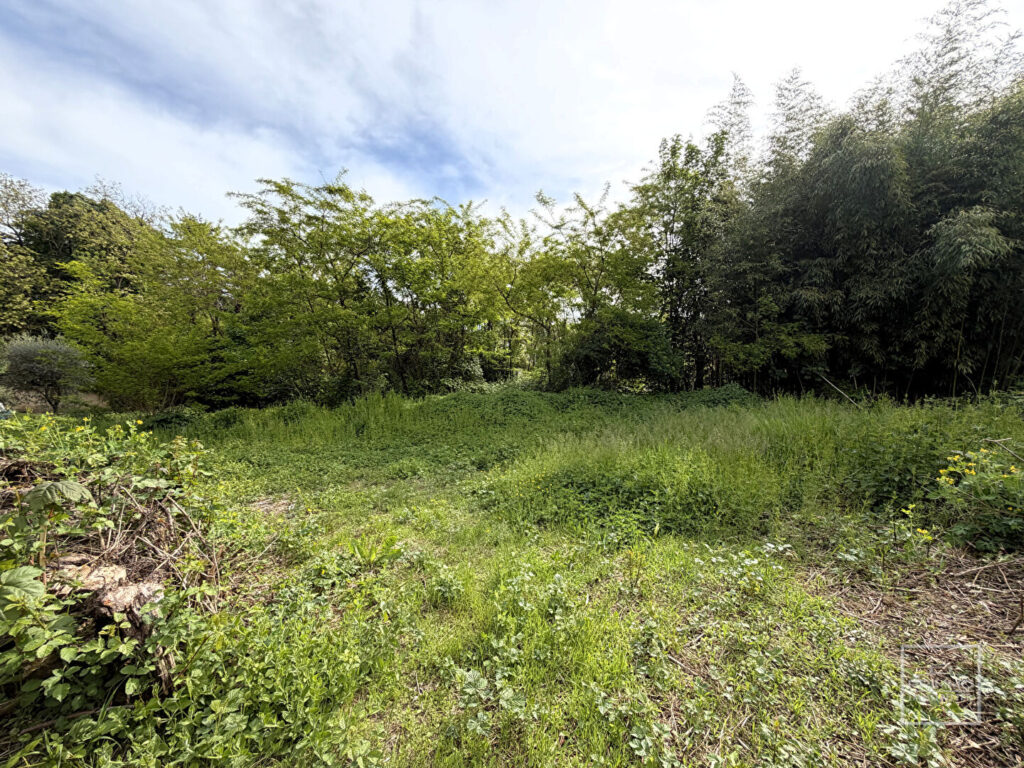 COLLONGES AU MONT D’OR, Terrain constructible de 1510m²