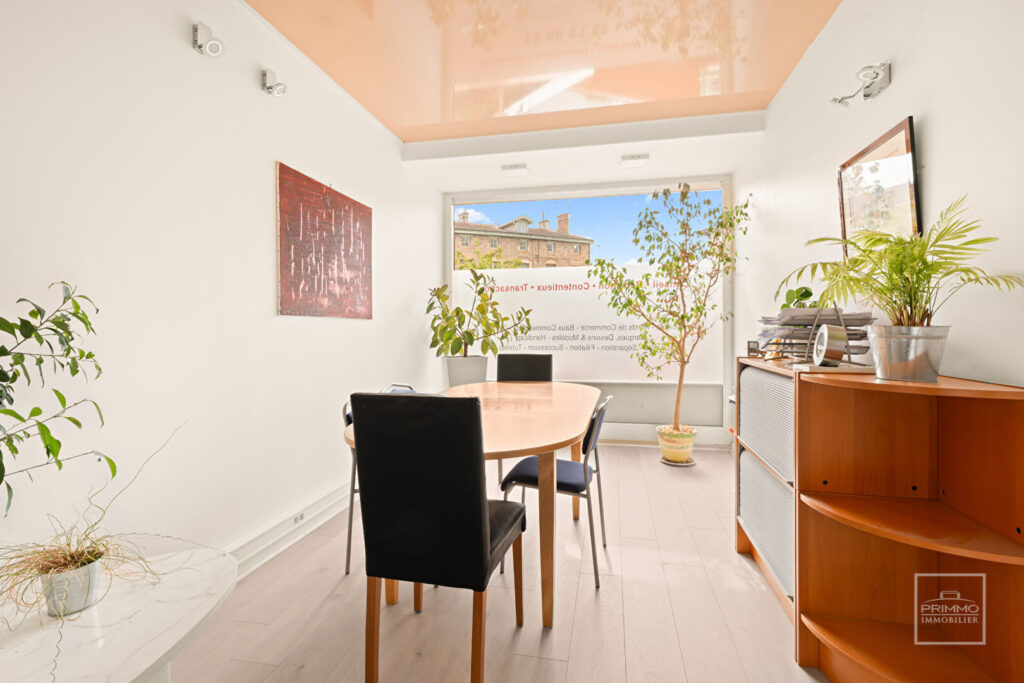 FONTAINES SUR SAONE, CENTRE, LOCAL COMMERCIAL, 47.79m²