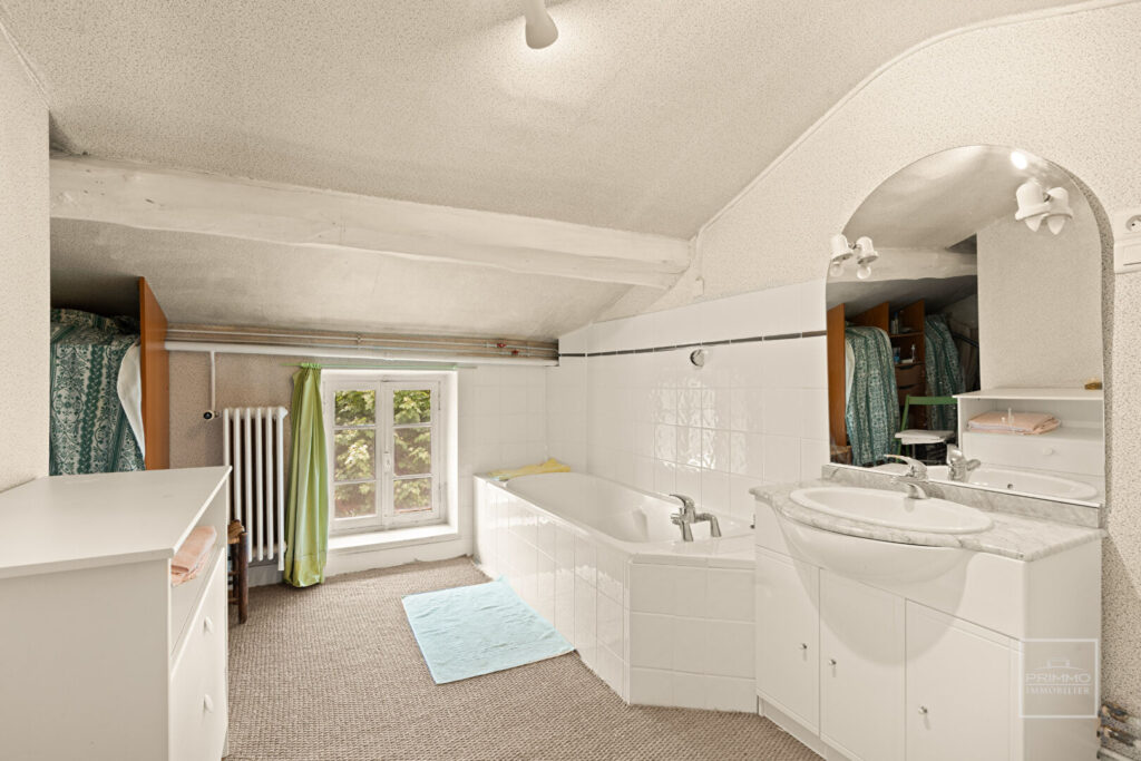 CHARBONNIERES LES BAINS, Maison de charme de 396 m² plancher sur 1292 m² de terrain