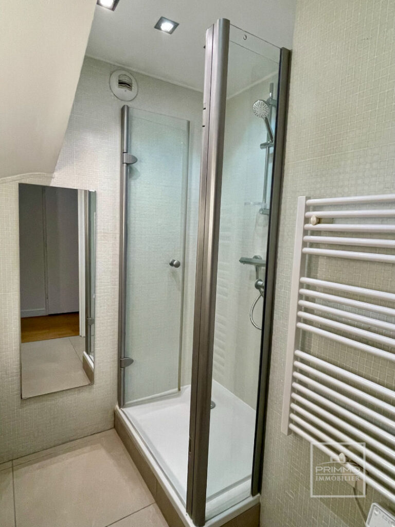 LYON 6, DUPLEX, DERNIER ETAGE, CLIMATISÉ, 116m² , TERRASSE 96m²