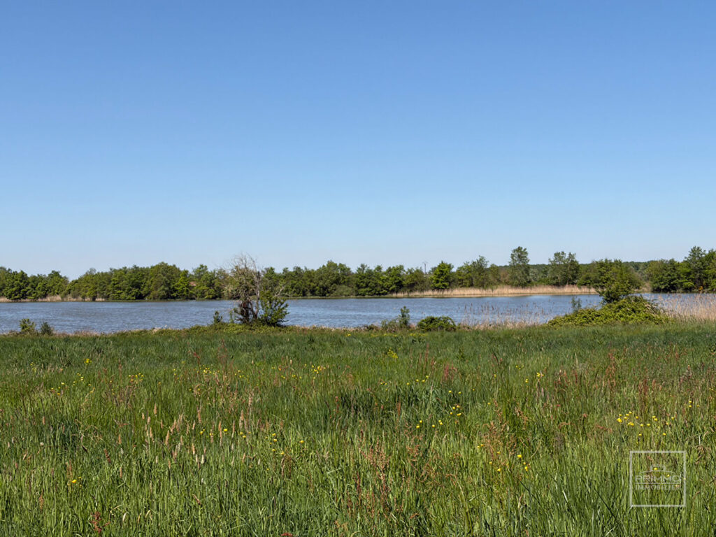 LAPEYROUSE, domaine d&rsquo;exception en DOMBES  118 hectares avec étang et terrain de chasse