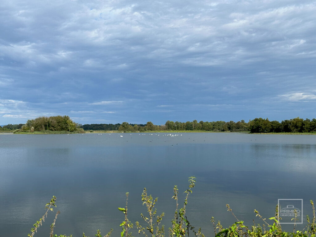 LAPEYROUSE, domaine d&rsquo;exception en DOMBES  118 hectares avec étang et terrain de chasse