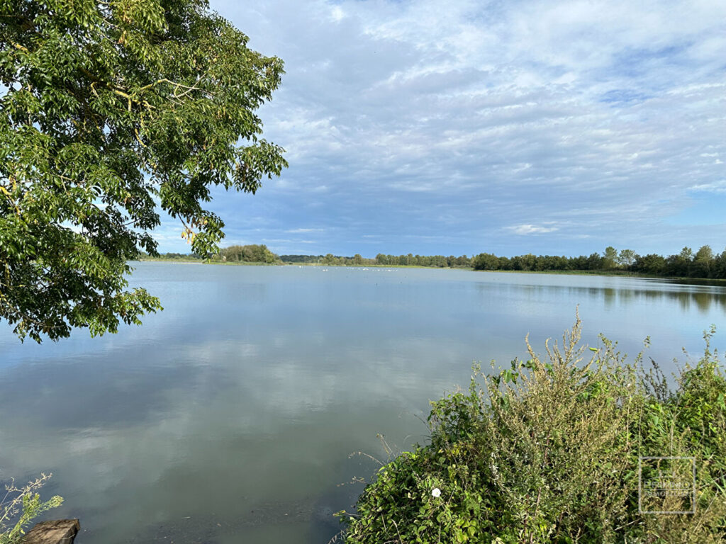 LAPEYROUSE, domaine d&rsquo;exception en DOMBES  118 hectares avec étang et terrain de chasse