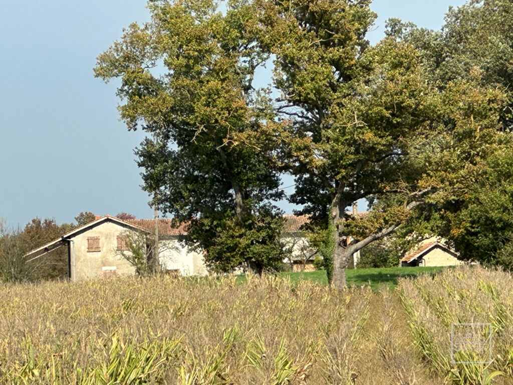 LAPEYROUSE, domaine d&rsquo;exception en DOMBES  118 hectares avec étang et terrain de chasse