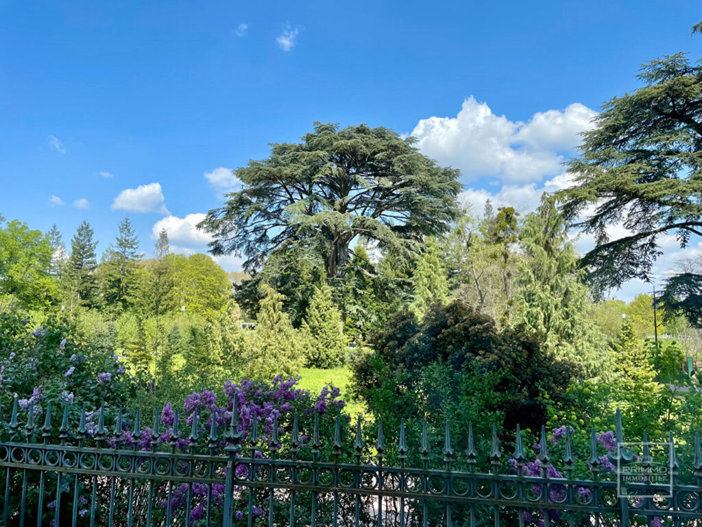 LYON 6, BOULEVARD DES BELGES, FRONT DE PARC, 100m²
