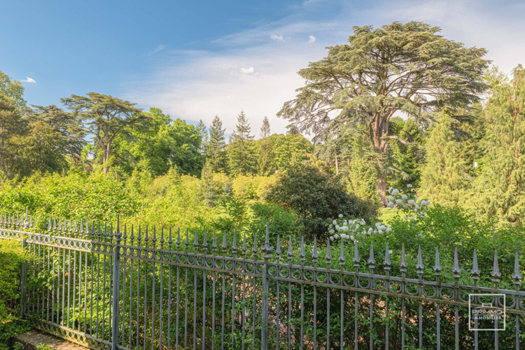 LYON 6, BOULEVARD DES BELGES, FRONT DE PARC, 100m²