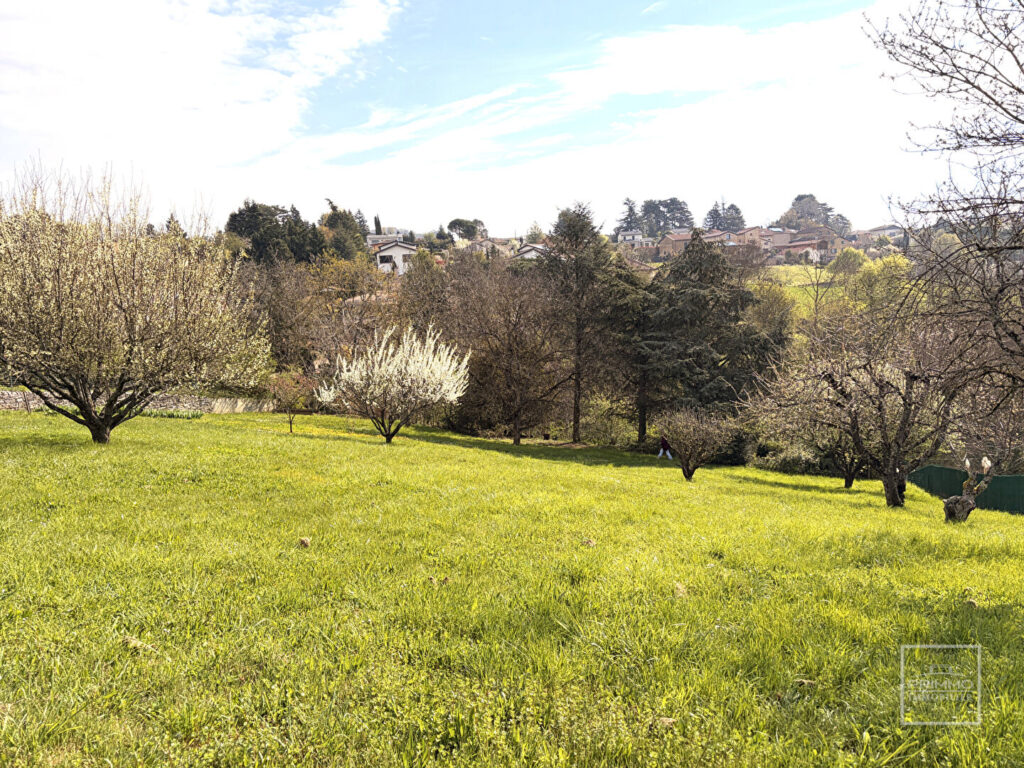 SAINT DIDIER AU MONT D’OR terrain constructible avec vue sur Lyon et la verdure