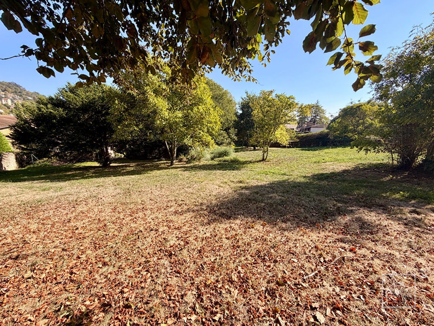 ST DIDIER MONT D&rsquo;OR Corps de ferme XVIIe siècle, 2 maisons+revenus locatifs, piscine