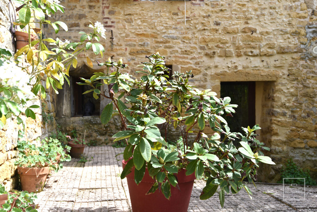 A Saint Cyr au mont d&rsquo;or dans bâtisse ancienne divisée, duplex de 137m²  comme une maison de village + terrasse, jardin et garage