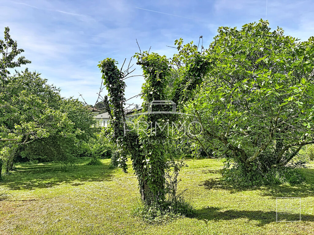 Saint Cyr Au Mont D’Or, maison de 264m² + 210m² utiles sur terrain de 1600m²