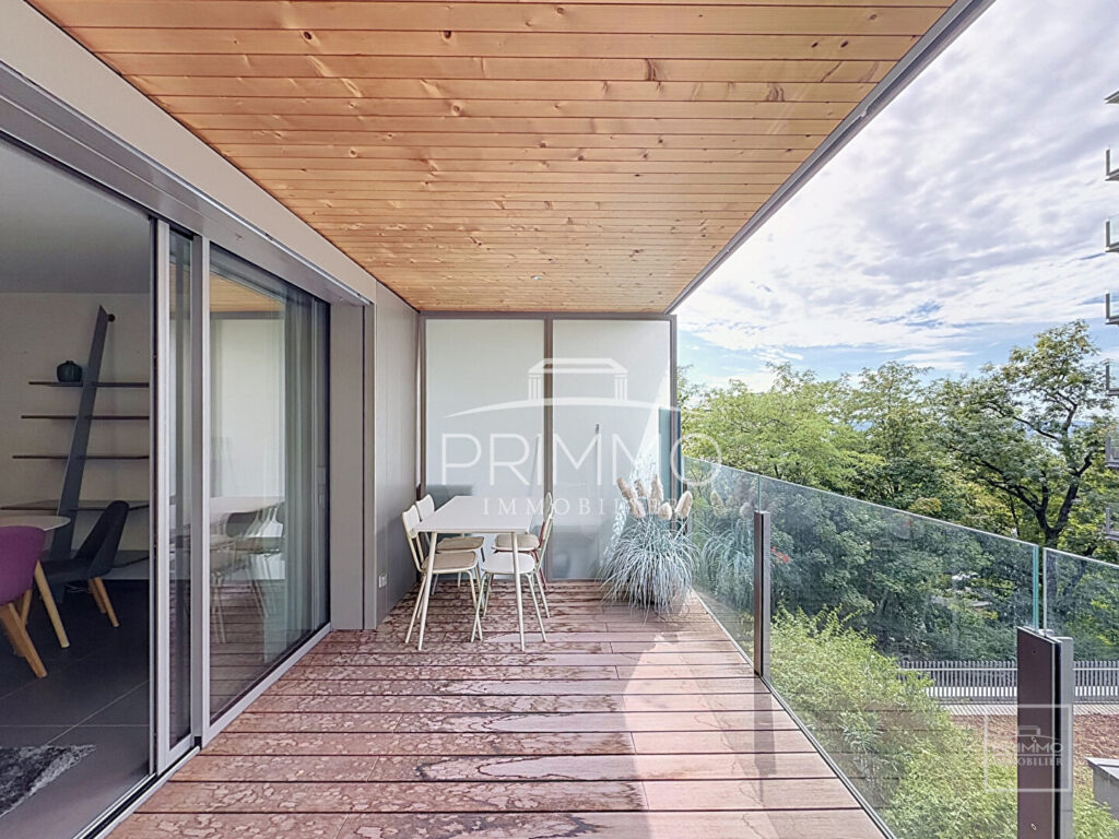 LYON 5, DEBROUSSE PARC, 31.4m², TERRASSE